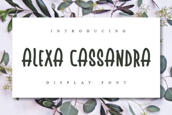 Alexa Cassandra: The Handwritten Font for Clear Campaigns