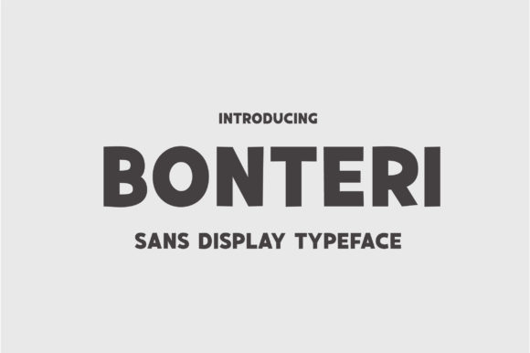 Bonteri: A Bold Display Font for Small Business Branding