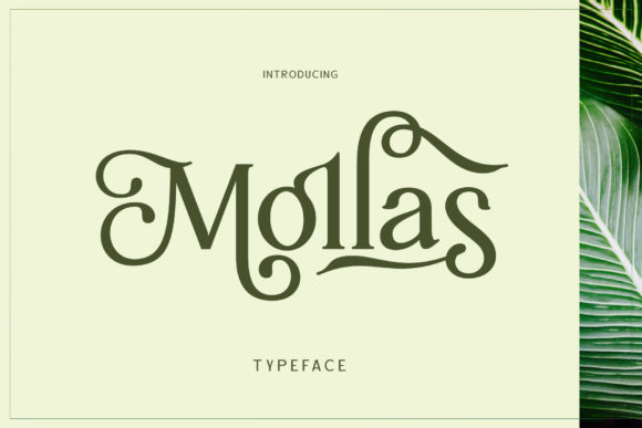 Mollas: A Vintage Display Font for Handmade Creators