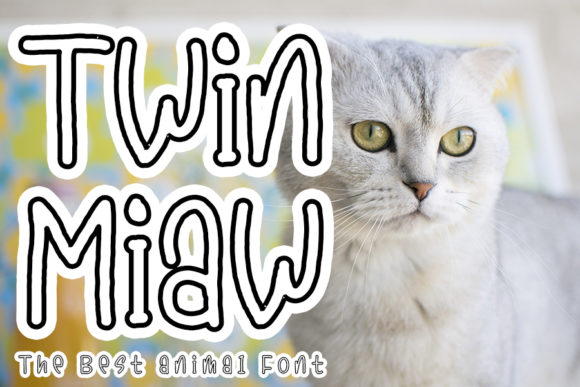 Twin Miaw: A Playful Display Font for Web Design